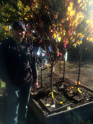 At his sanctuary, next to the Comstock Art Building, Sam Van Aken is grafting around 75 trees.